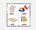 Palate, Palette, Pallet, Paletas Sticker