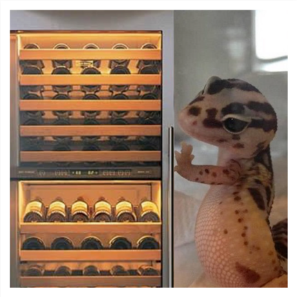 Gecko Wine Fridge Sticker