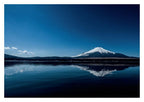 The Japanese Way of Whisky