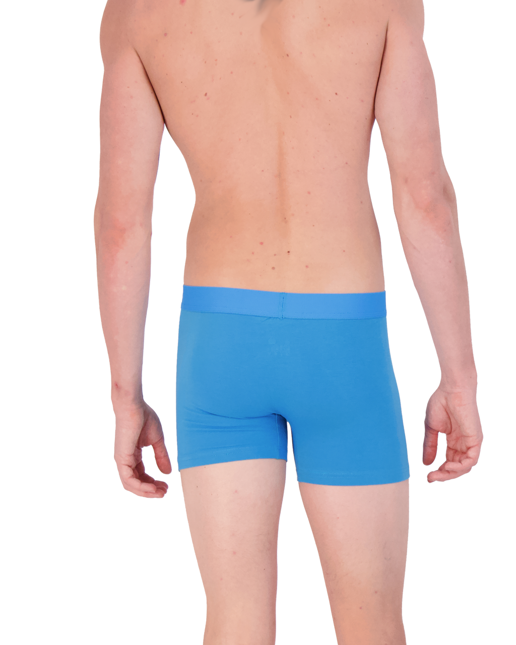 Boxer brief w/fly-Swedish Blue-SB05