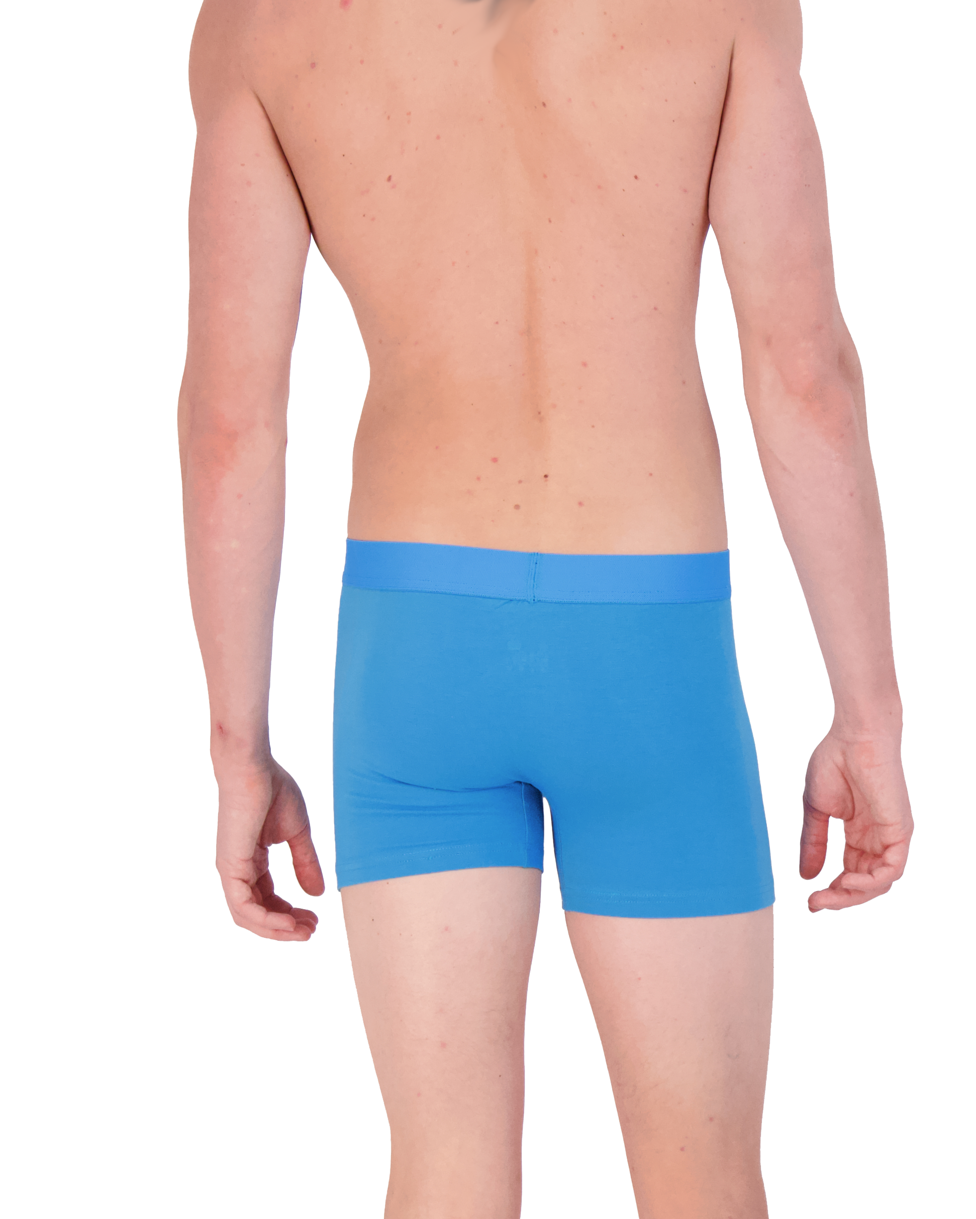 Boxer brief w/fly-Swedish Blue-SB05