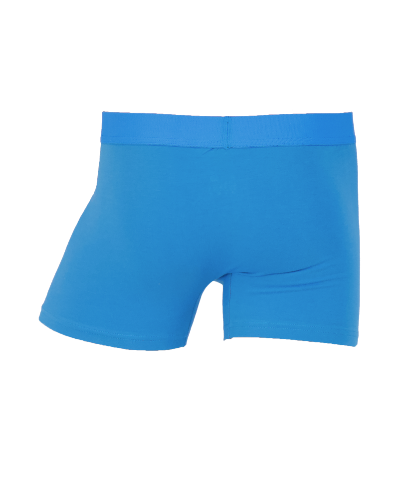 Boxer brief w/fly-Swedish Blue-SB05