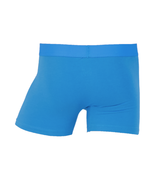 Boxer brief w/fly-Swedish Blue-SB05