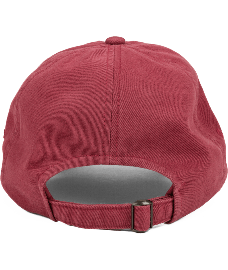 Glider Dad Hat