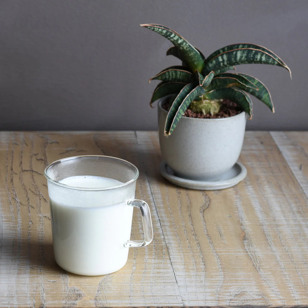 CAST mug 310ml