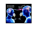 Do You Smell The Minerals? Magnet