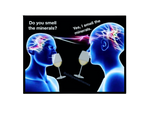 Do You Smell The Minerals? Magnet