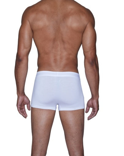 Boxer Brief w/Fly (3in)