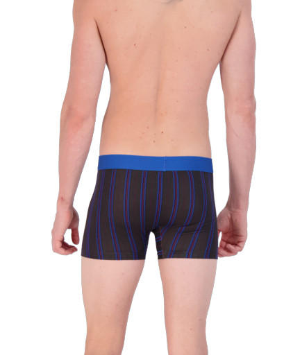 Boxer Brief w/Fly (3in)